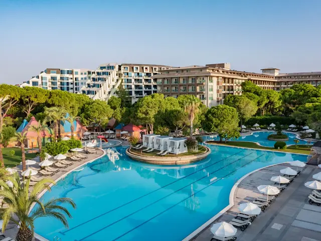 фото Papillon Ayscha изображение №90