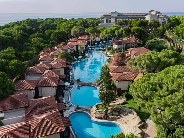 фотографии Papillon Ayscha изображение №60