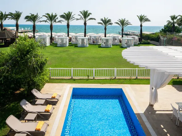 фото Papillon Ayscha изображение №46