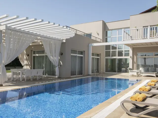 фотографии Papillon Ayscha изображение №36