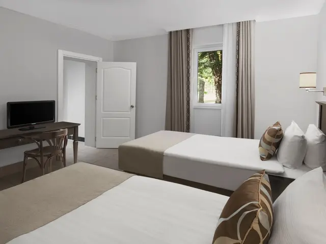 фото Papillon Ayscha изображение №30