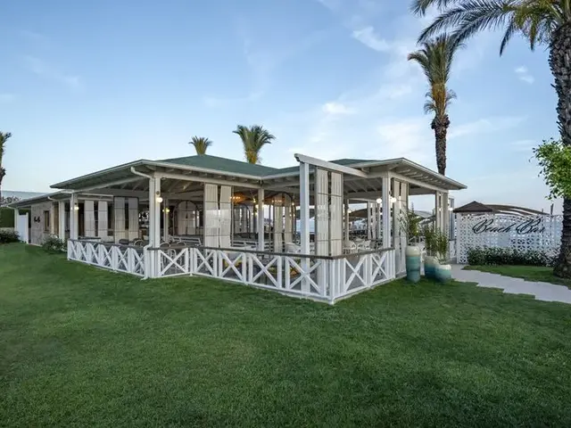 фотографии Papillon Ayscha изображение №28