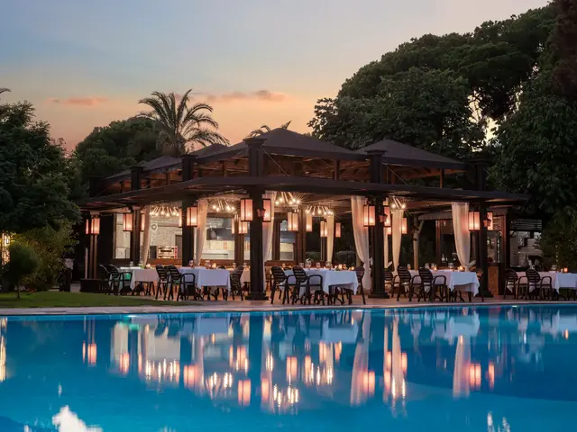 фото Papillon Ayscha изображение №22