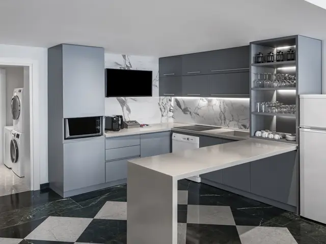 фото Papillon Ayscha изображение №18