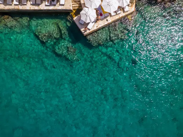 фотографии отеля Hera изображение №11