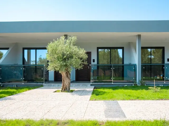 фотографии Sultan Of Dreams изображение №4