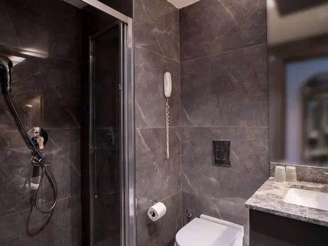 фотографии отеля Arts Hotel Istanbul (ex. Arts Hotel Istanbul Bosphorus) изображение №3