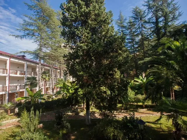 фотографии отеля Гора Царя Баграта (ex. Heliopark Gora Bagrata; Парк-отель Гора Царя Баграта) изображение №23