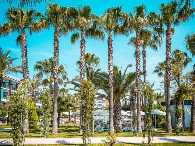 фотографии отеля Belek Beach Resort изображение №51
