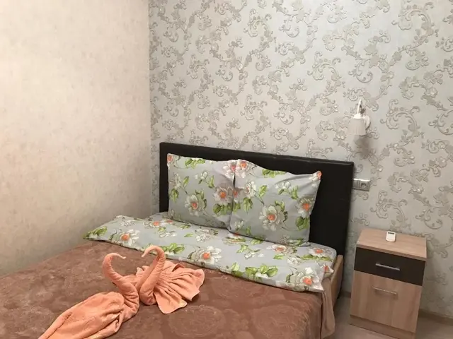фотографии отеля Часы Лескова (Chasy Leskova) изображение №3