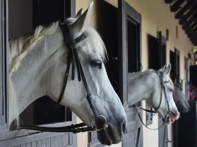 фотографии отеля Berke Ranch & Nature (ex. Viverde Hotel Berke Ranch) изображение №11