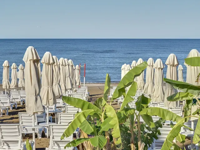 фото Seaden Corolla изображение №14