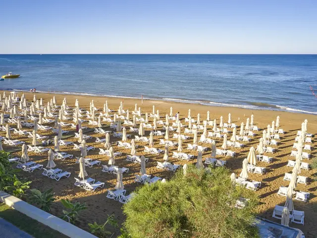 фотографии Seaden Corolla изображение №8