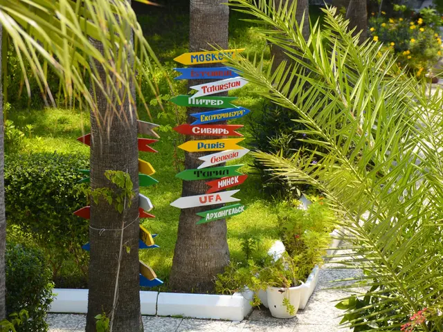 фото Club Sea Time изображение №6