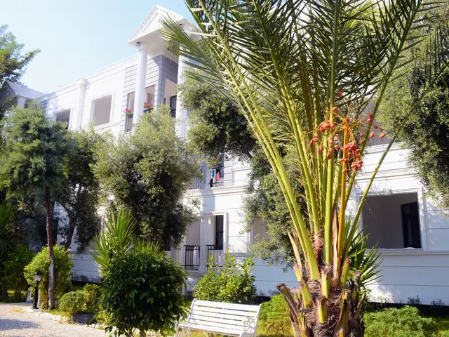 фотографии отеля Club Sea Time изображение №7