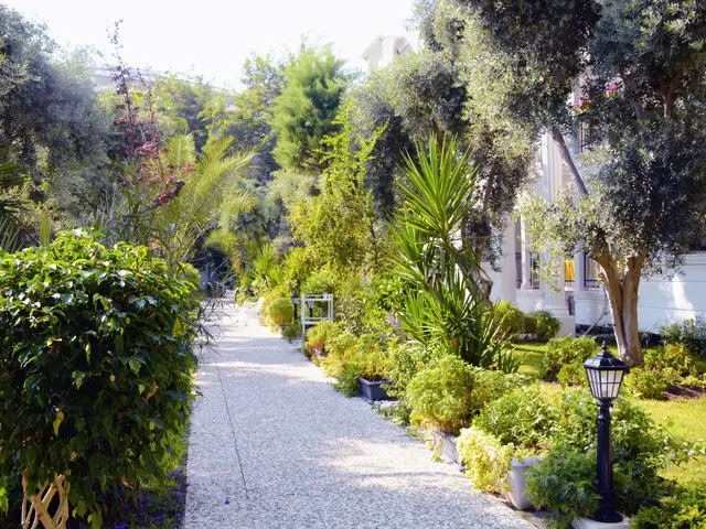 фото Club Sea Time изображение №2