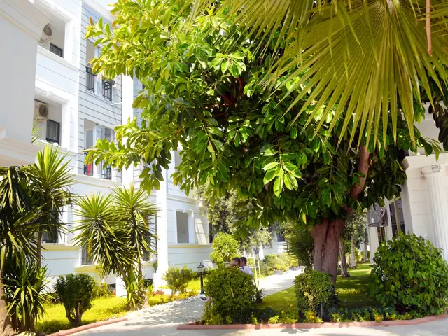 фото отеля Club Sea Time изображение №5