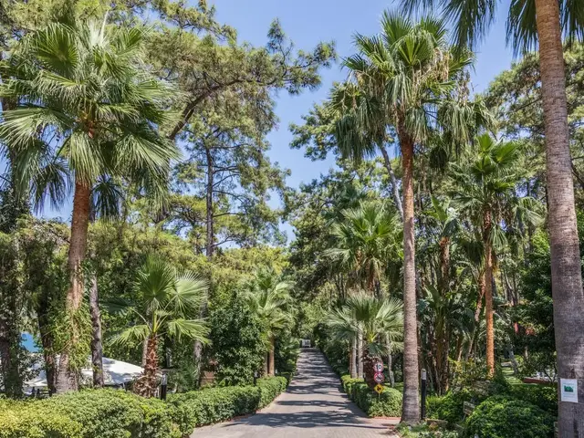 фото отеля Marmaris Bay Resort By Mp изображение №25
