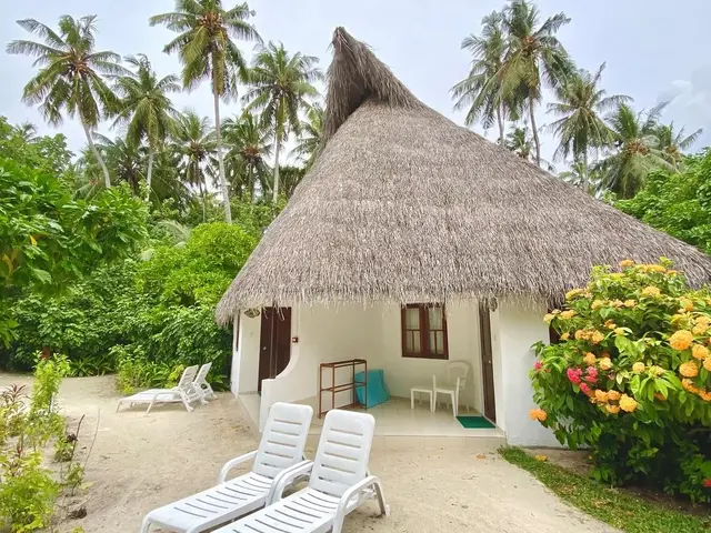 фотографии Fihalhohi Maldives (ex. Fihalhohi Island Resort) изображение №4