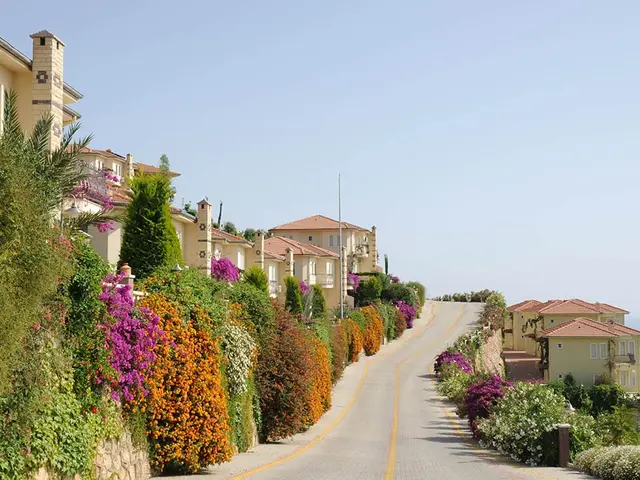 фото Goldcity изображение №6