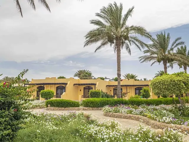 фото Blend Elphistone Resort (ex. Elphistone Resort Marsa Alam) изображение №26