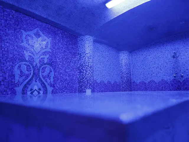 фотографии отеля Blend Elphistone Resort (ex. Elphistone Resort Marsa Alam) изображение №11