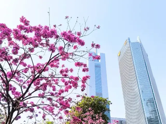 All Seasons - Tianhe Sports Center (ex. Guangzhou Tianhe Sports Center Mercure Hotel)