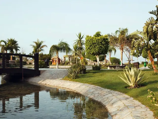 фото Movenpick Resort El Sokhna  изображение №2