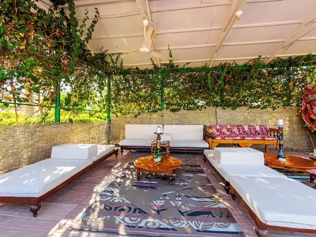 фото отеля Flamenco Beach & Resort изображение №53