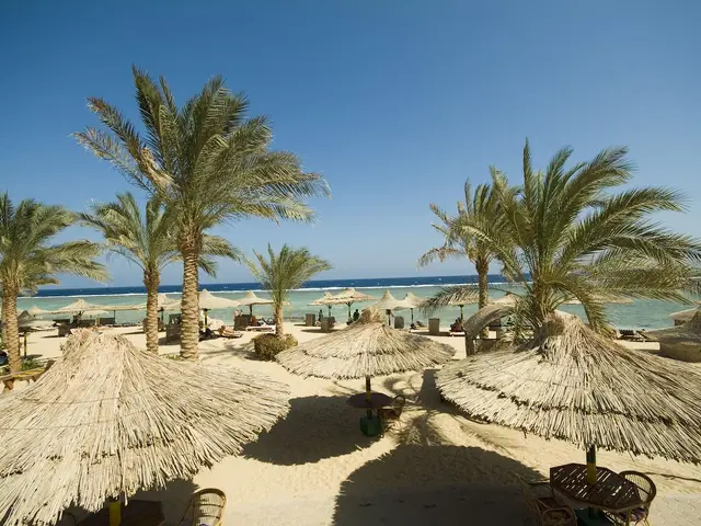 фото Flamenco Beach & Resort изображение №50