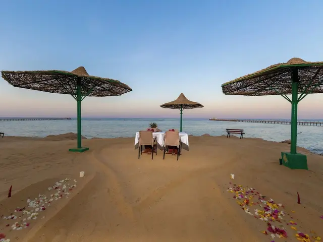 фото отеля Flamenco Beach & Resort изображение №33