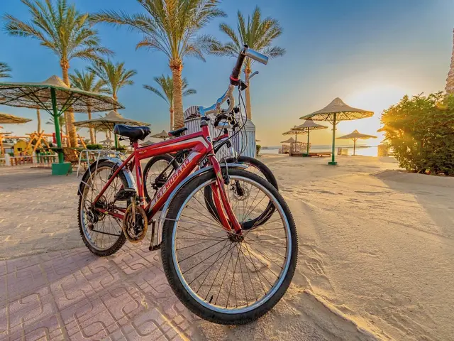 фотографии отеля Flamenco Beach & Resort изображение №3