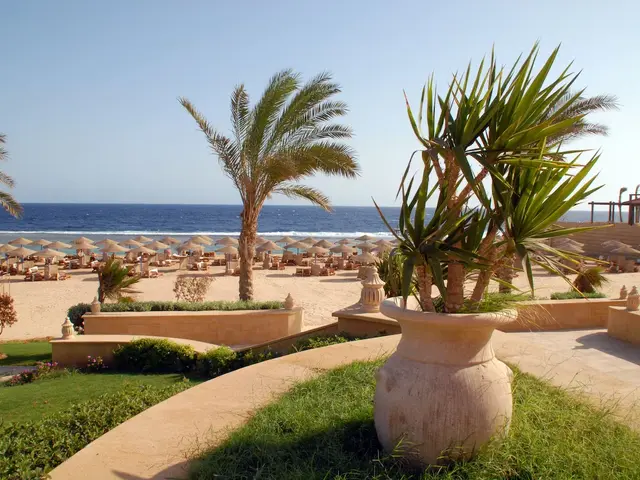 фото Jaz Neo Reef Marsa (ex. Jaz Solymar Reef Marsa; Jaz SuneoClub Reef) изображение №2