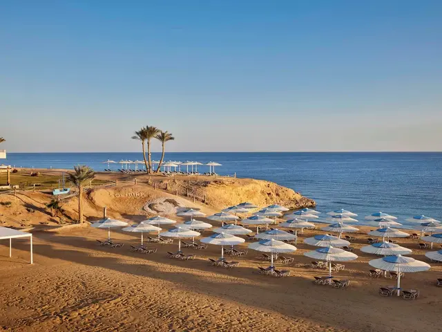 фото Jaz Neo Reef Marsa (ex. Jaz Solymar Reef Marsa; Jaz SuneoClub Reef) изображение №6