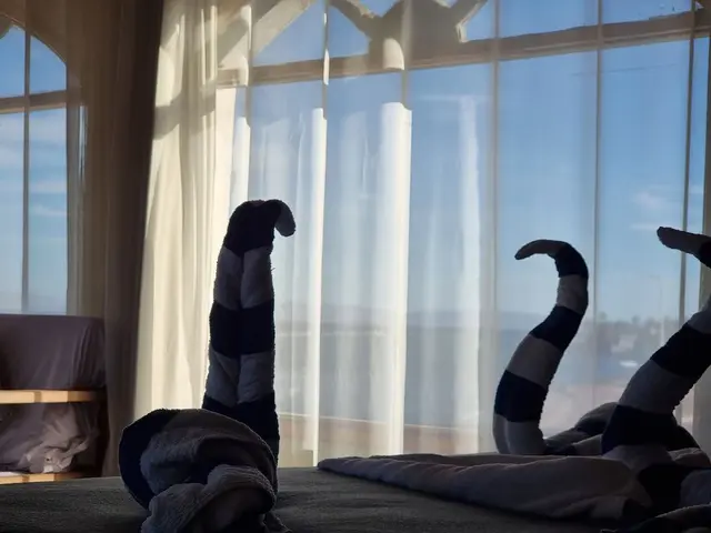 фотографии отеля Bedouin Moon изображение №15