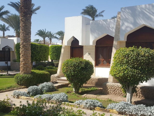 фотографии Regina Resort & Aqua Park (ex. ZYA Regina Resort & Aqua park, Regina Swiss Inn Resort) изображение №8