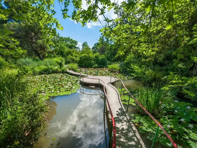 фотографии отеля Санаторий Форос (Sanatorij Foros) изображение №3