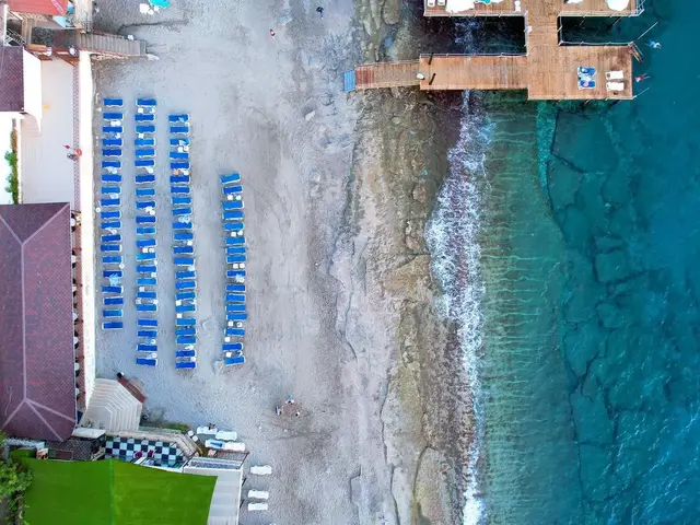 фото Blue Fish изображение №14