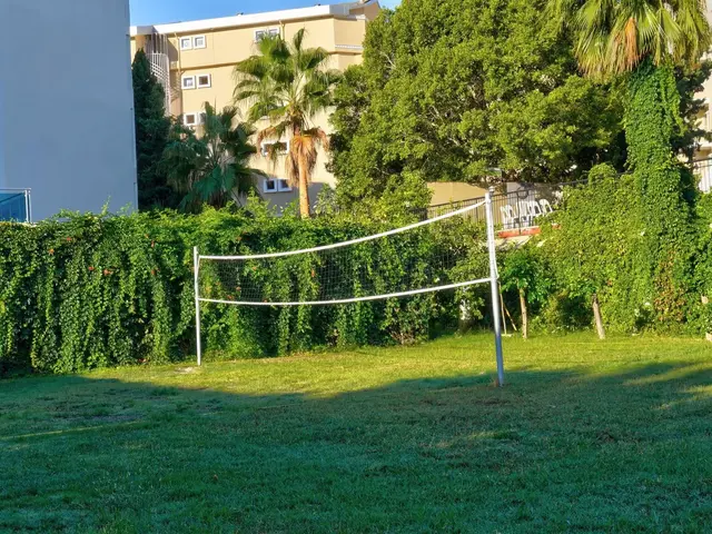 фотографии Blue Fish изображение №8