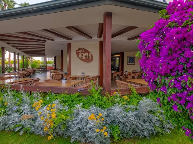 фото Meryan изображение №34