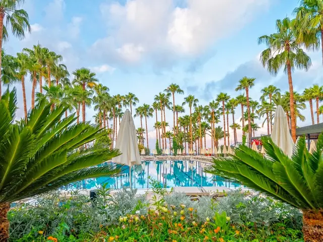 фото Meryan изображение №18