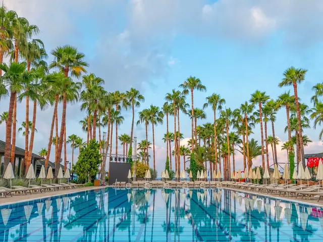 фото Meryan изображение №6