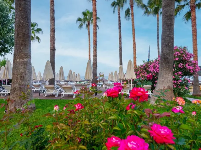 фото Meryan изображение №2