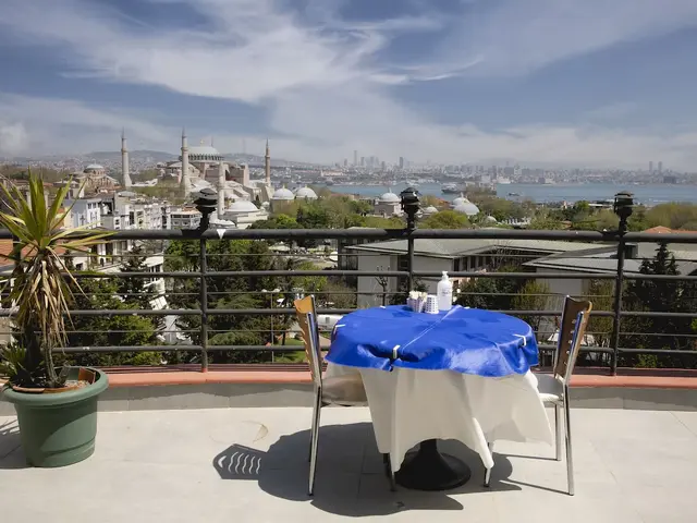 фотографии Hali (ex. Carpet) изображение №4