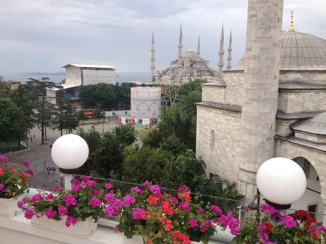 фотографии отеля Sultanahmet изображение №19