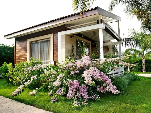 фотографии Cirali Hera изображение №4