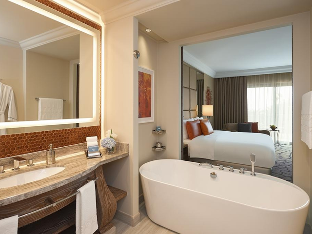 фото Atlantis The Palm изображение №10