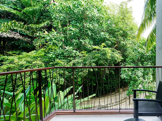 фотографии отеля Renaissance Phuket Resort & Spa изображение №3