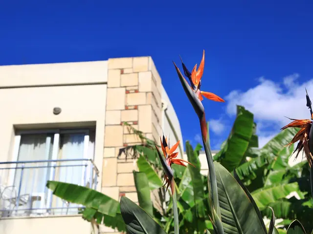 фотографии отеля Mandarin Resort изображение №19