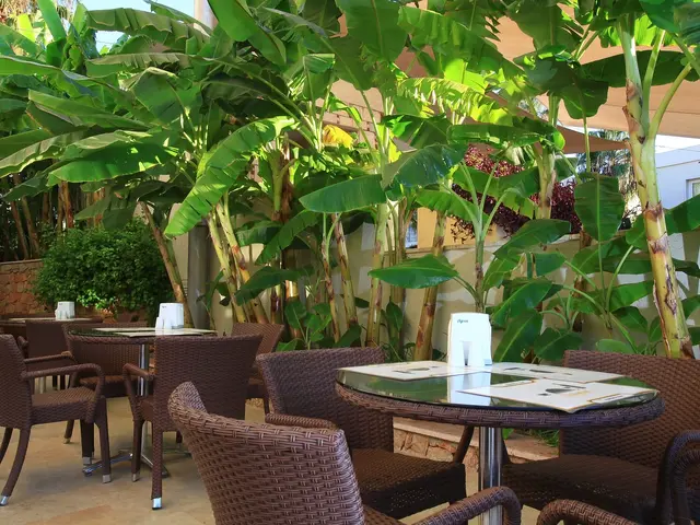 фото Mandarin Resort изображение №14